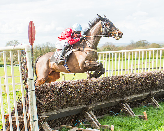 Race 3 - 4-5-6 Year Olds Open Maiden-106