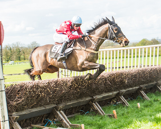 Race 3 - 4-5-6 Year Olds Open Maiden-107