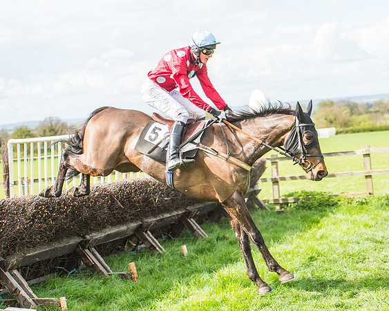 Race 3 - 4-5-6 Year Olds Open Maiden-109