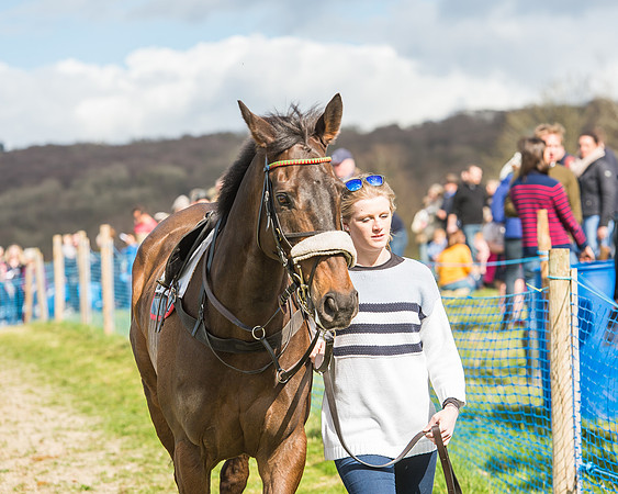 Race 4 - PPORA Members Novice Riders-3