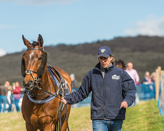 Race 4 - PPORA Members Novice Riders-6