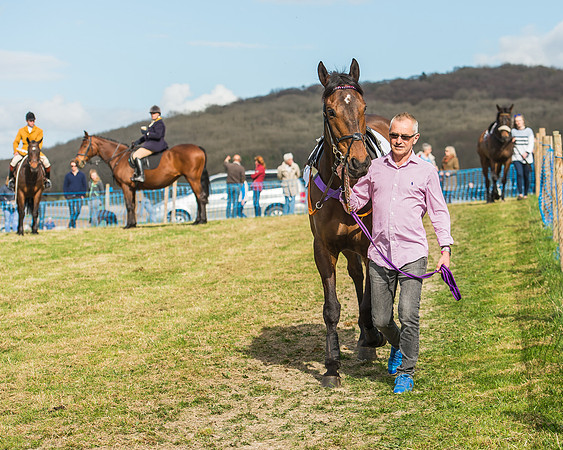 Race 4 - PPORA Members Novice Riders-9