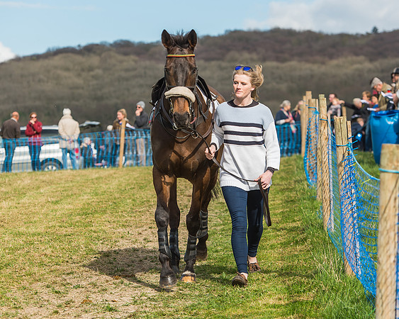 Race 4 - PPORA Members Novice Riders-11