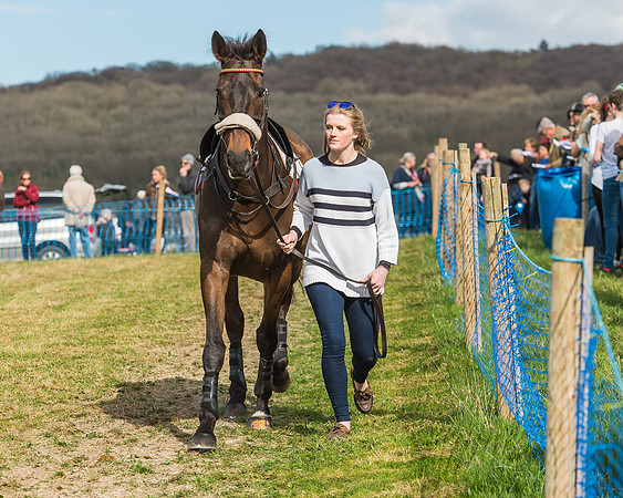 Race 4 - PPORA Members Novice Riders-12