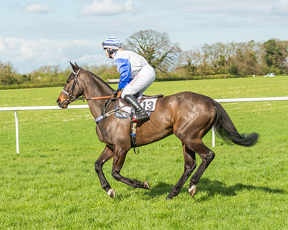 Race 4 - PPORA Members Novice Riders-25