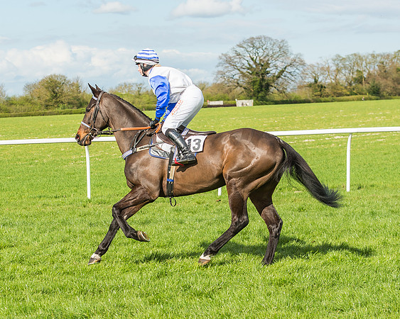 Race 4 - PPORA Members Novice Riders-26