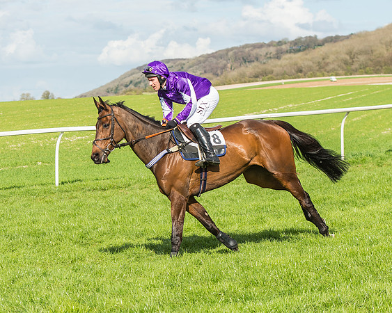 Race 4 - PPORA Members Novice Riders-28