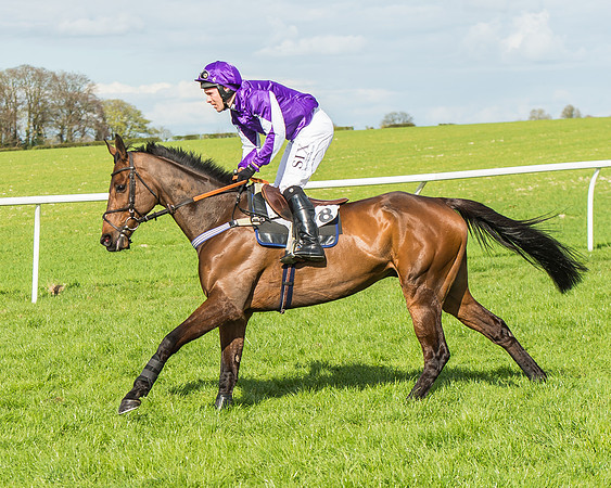 Race 4 - PPORA Members Novice Riders-29