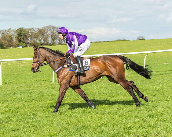 Race 4 - PPORA Members Novice Riders-30