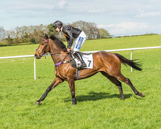Race 4 - PPORA Members Novice Riders-33