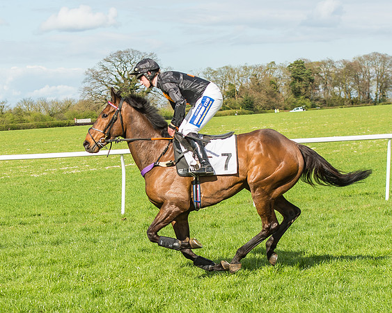 Race 4 - PPORA Members Novice Riders-34