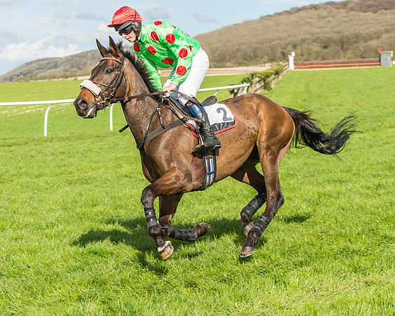 Race 4 - PPORA Members Novice Riders-39