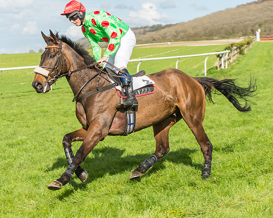 Race 4 - PPORA Members Novice Riders-40