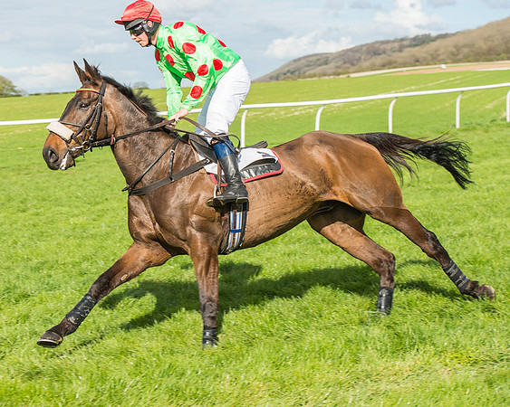 Race 4 - PPORA Members Novice Riders-41