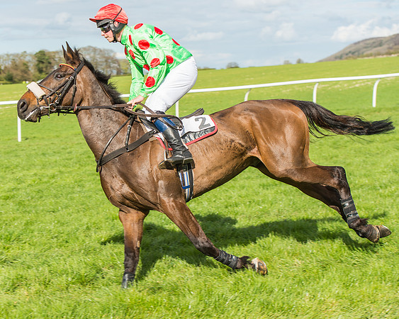 Race 4 - PPORA Members Novice Riders-42