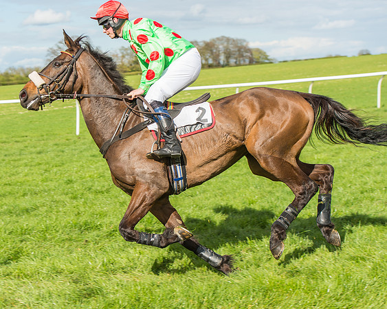 Race 4 - PPORA Members Novice Riders-43