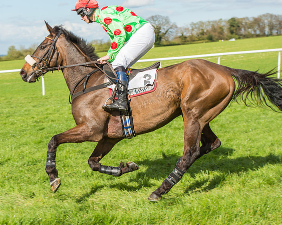 Race 4 - PPORA Members Novice Riders-44