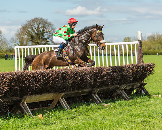 Race 4 - PPORA Members Novice Riders-47