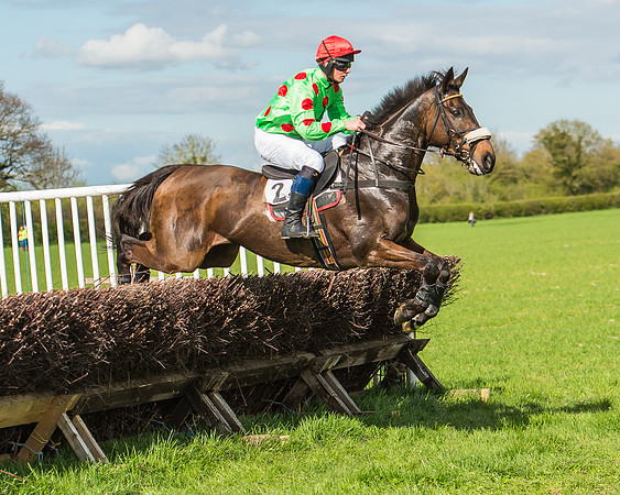 Race 4 - PPORA Members Novice Riders-49