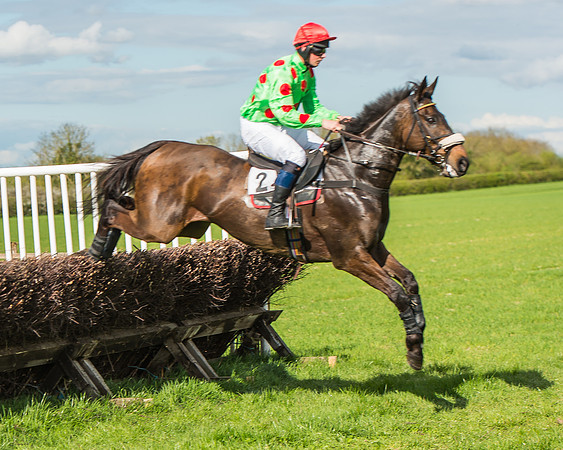 Race 4 - PPORA Members Novice Riders-50