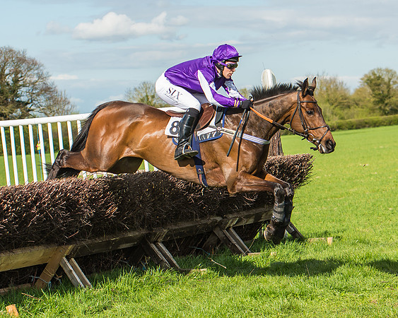 Race 4 - PPORA Members Novice Riders-53