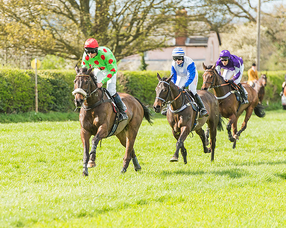 Race 4 - PPORA Members Novice Riders-63