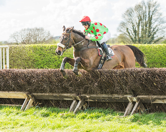 Race 4 - PPORA Members Novice Riders-65