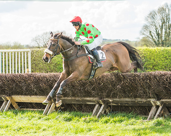 Race 4 - PPORA Members Novice Riders-66