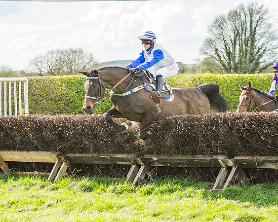 Race 4 - PPORA Members Novice Riders-67