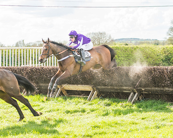 Race 4 - PPORA Members Novice Riders-71