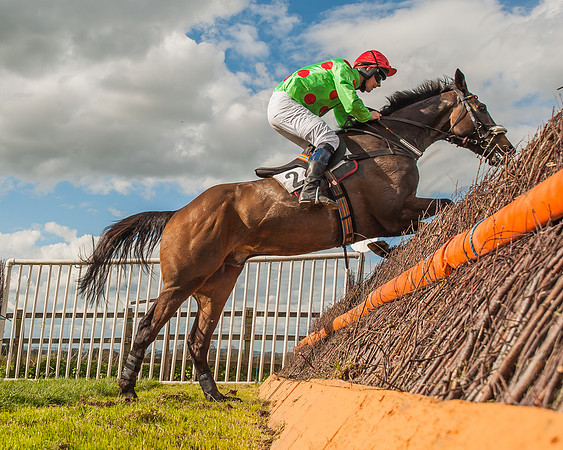Race 4 - PPORA Members Novice Riders-80