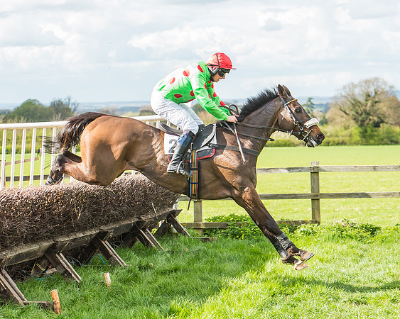 Race 4 - PPORA Members Novice Riders-84