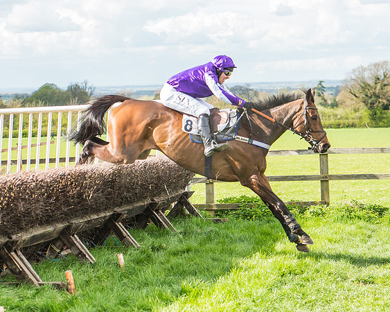Race 4 - PPORA Members Novice Riders-86