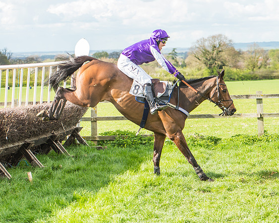 Race 4 - PPORA Members Novice Riders-87