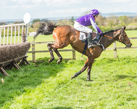 Race 4 - PPORA Members Novice Riders-88