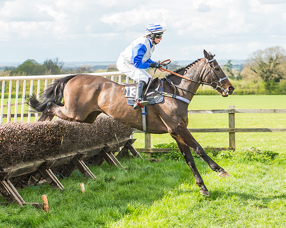 Race 4 - PPORA Members Novice Riders-91