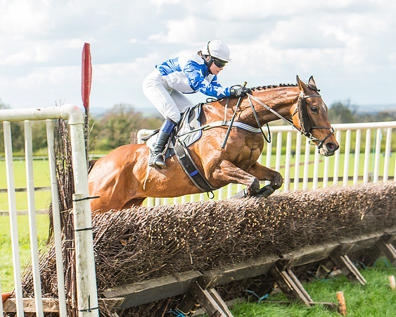 Race 4 - PPORA Members Novice Riders-92