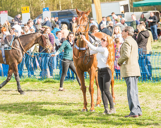 Race 5 - Southern Grand National-4