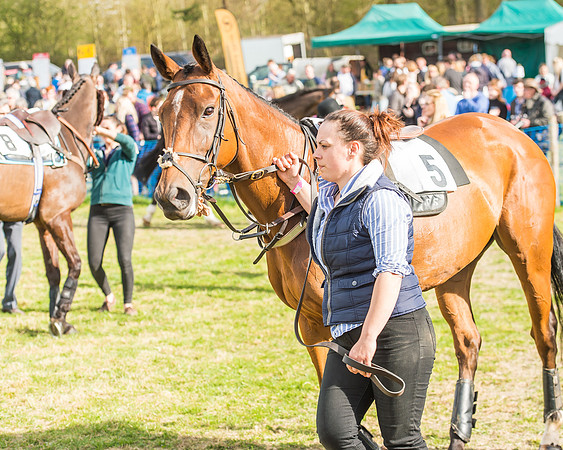 Race 5 - Southern Grand National-8