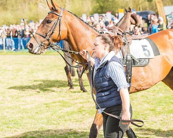 Race 5 - Southern Grand National-9