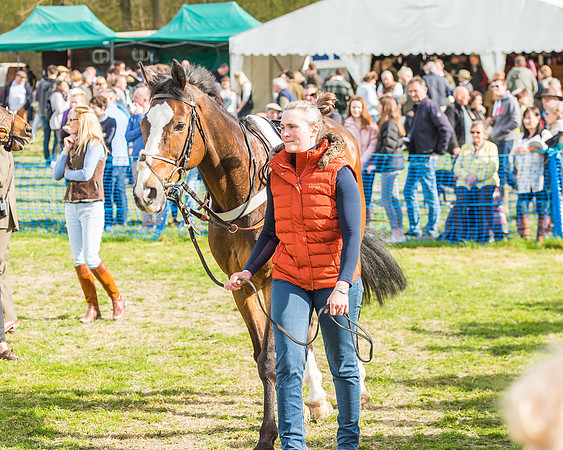 Race 5 - Southern Grand National-10