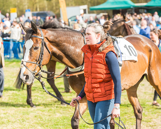 Race 5 - Southern Grand National-11