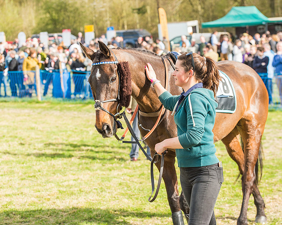 Race 5 - Southern Grand National-12