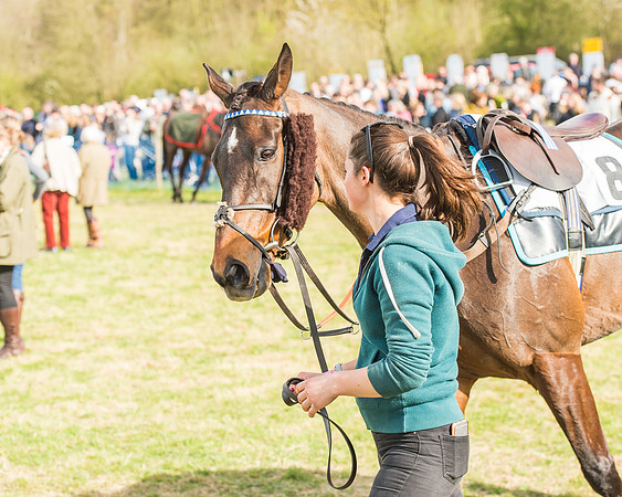 Race 5 - Southern Grand National-13