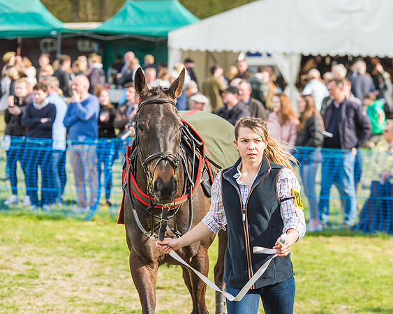 Race 5 - Southern Grand National-14