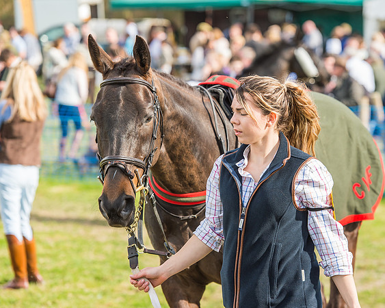 Race 5 - Southern Grand National-15