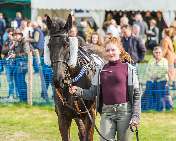 Race 5 - Southern Grand National-16