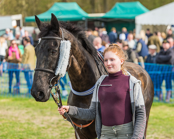 Race 5 - Southern Grand National-17