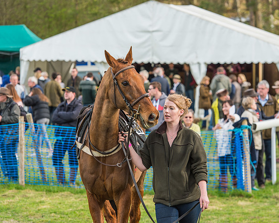 Race 5 - Southern Grand National-18