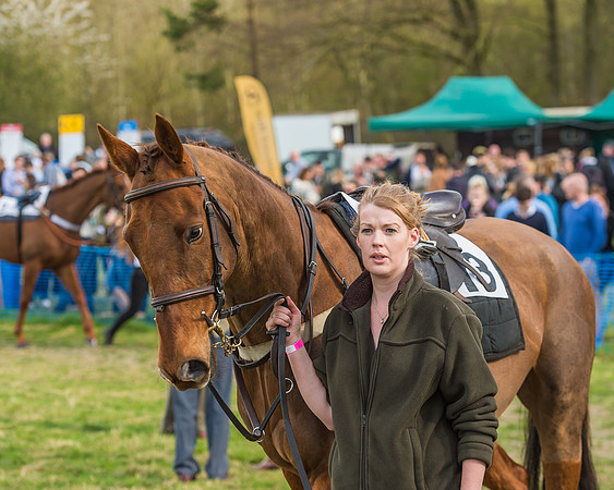 Race 5 - Southern Grand National-20